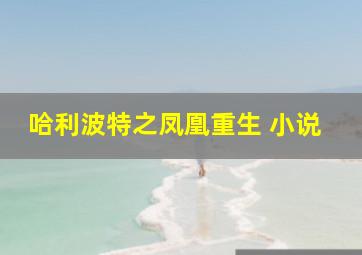 哈利波特之凤凰重生 小说